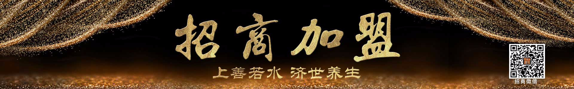 总部支持栏目图